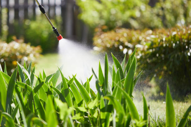 Tamper-Resistant Bait Stations for Rodents in McLean