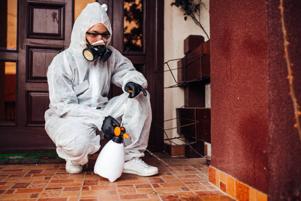 Attic and Crawl Space Rodent Treatment in McLean