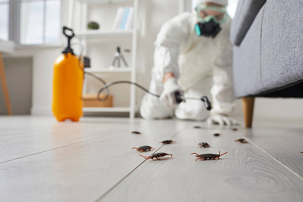 Commercial Rodent Management in McLean